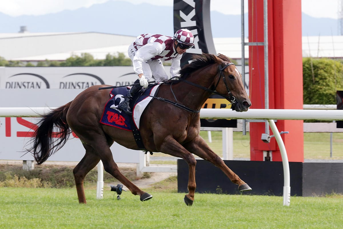 Top Sprinter Primed for Concorde Stakes