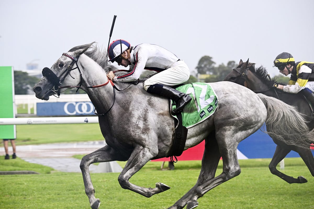 Be Real masters testing track at Rosehill