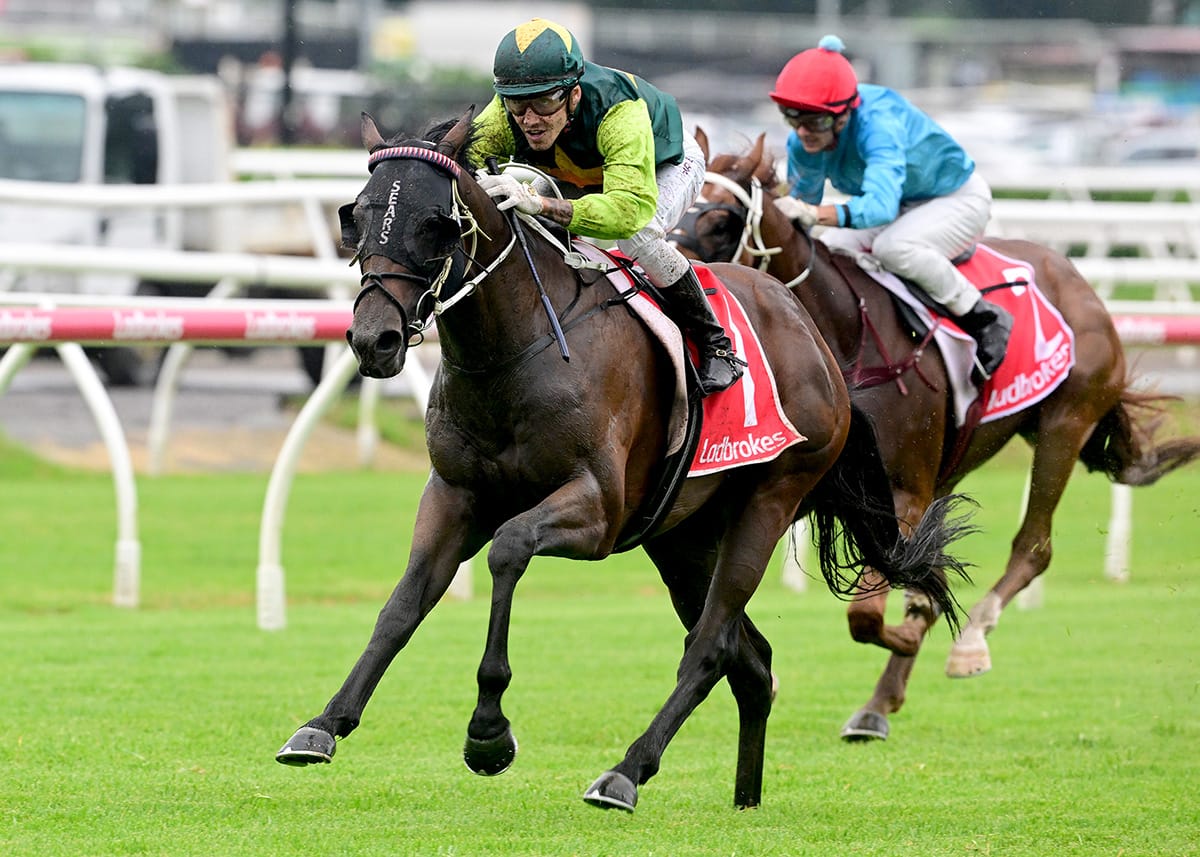 Beau Dazzler stamps Derby credentials with Grand Prix romp