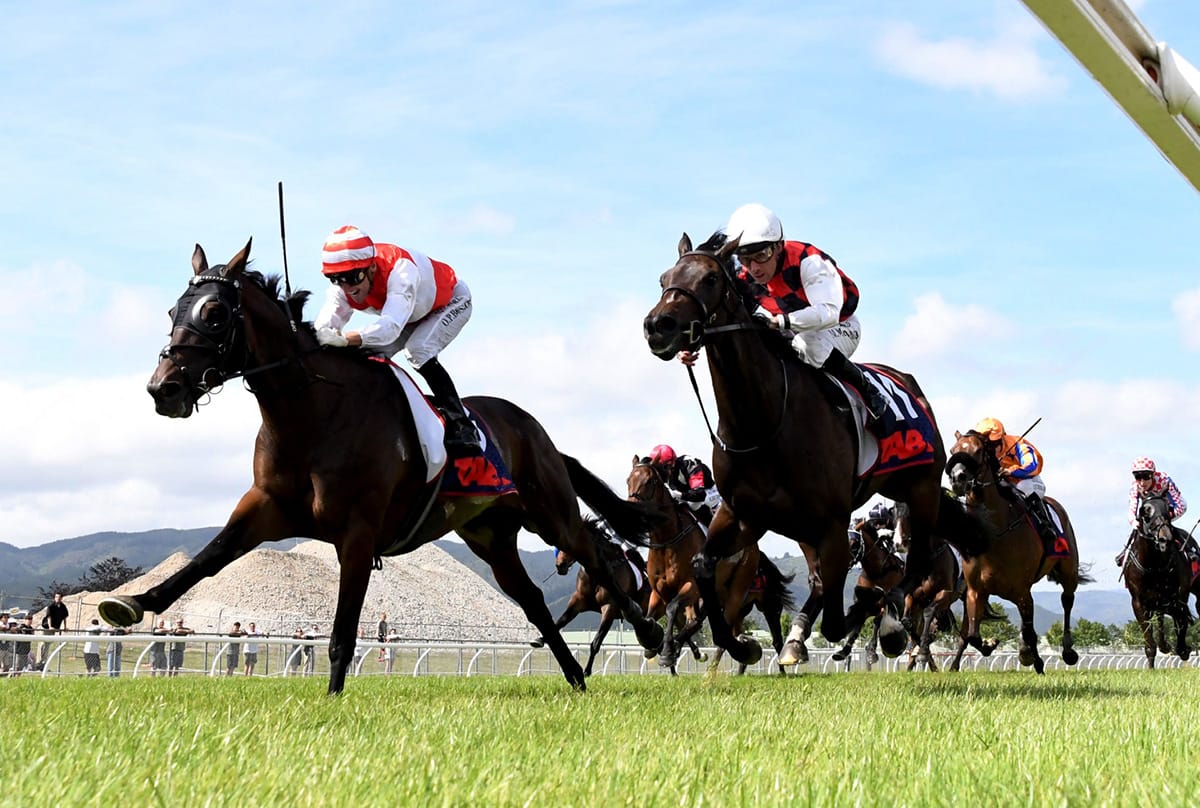 Bosson masterclass lands second Group One for Ladies Man