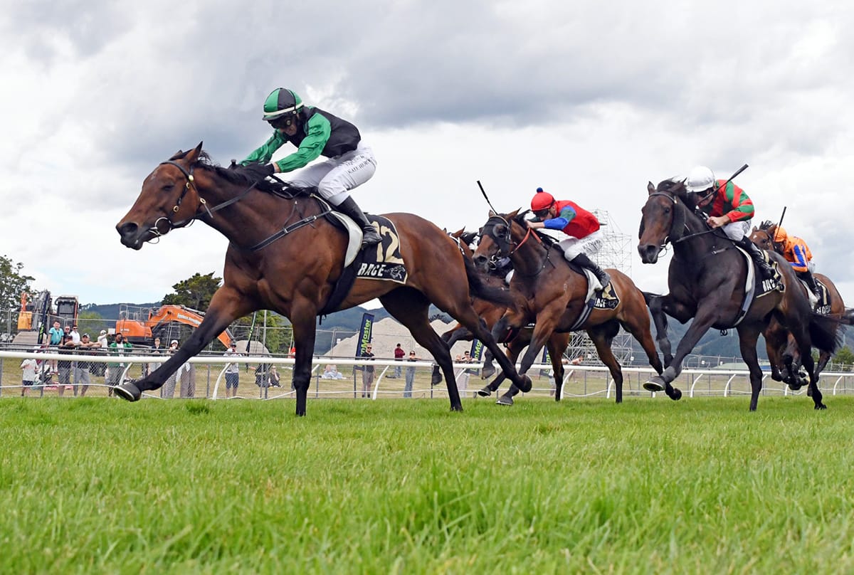 Marotiri Molly Provides Career Highlight for Trainer Matt Dixon