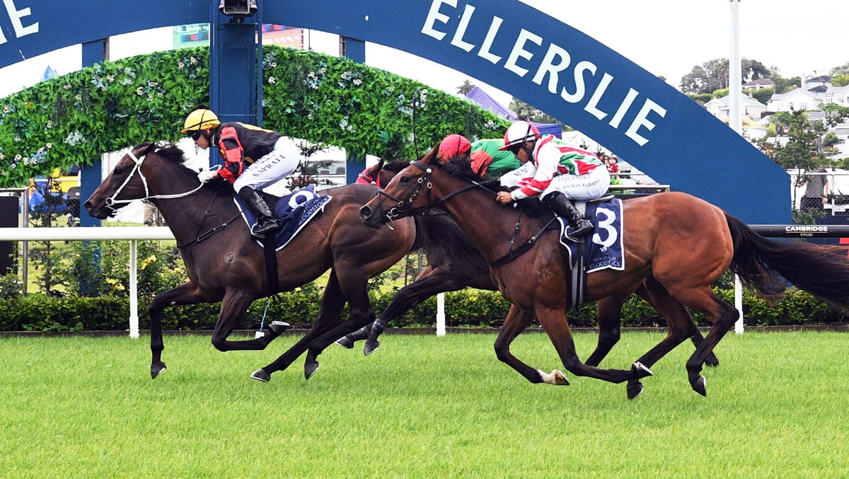 Provence Delivers Christmas Cheer for Marsh