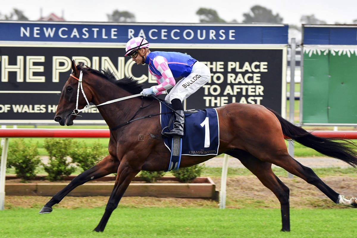 Tavi Time snares Summer Cup