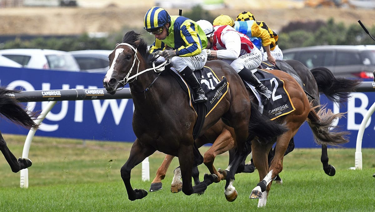 Ardalio follows in sire’s footsteps