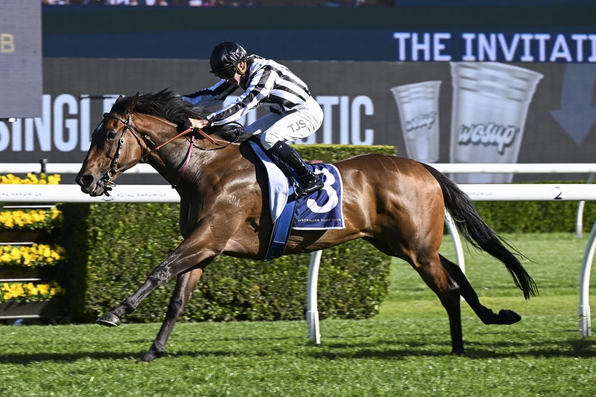 Star mare set for Westbury defence