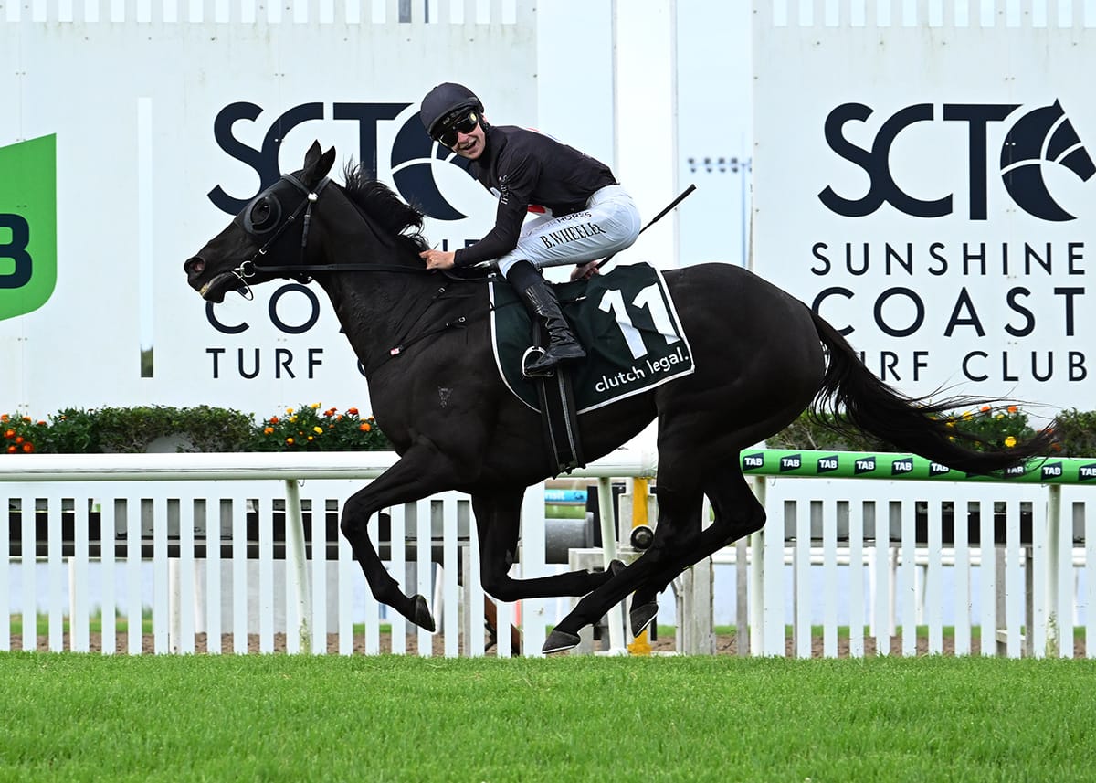 Stakes success for Elettrica