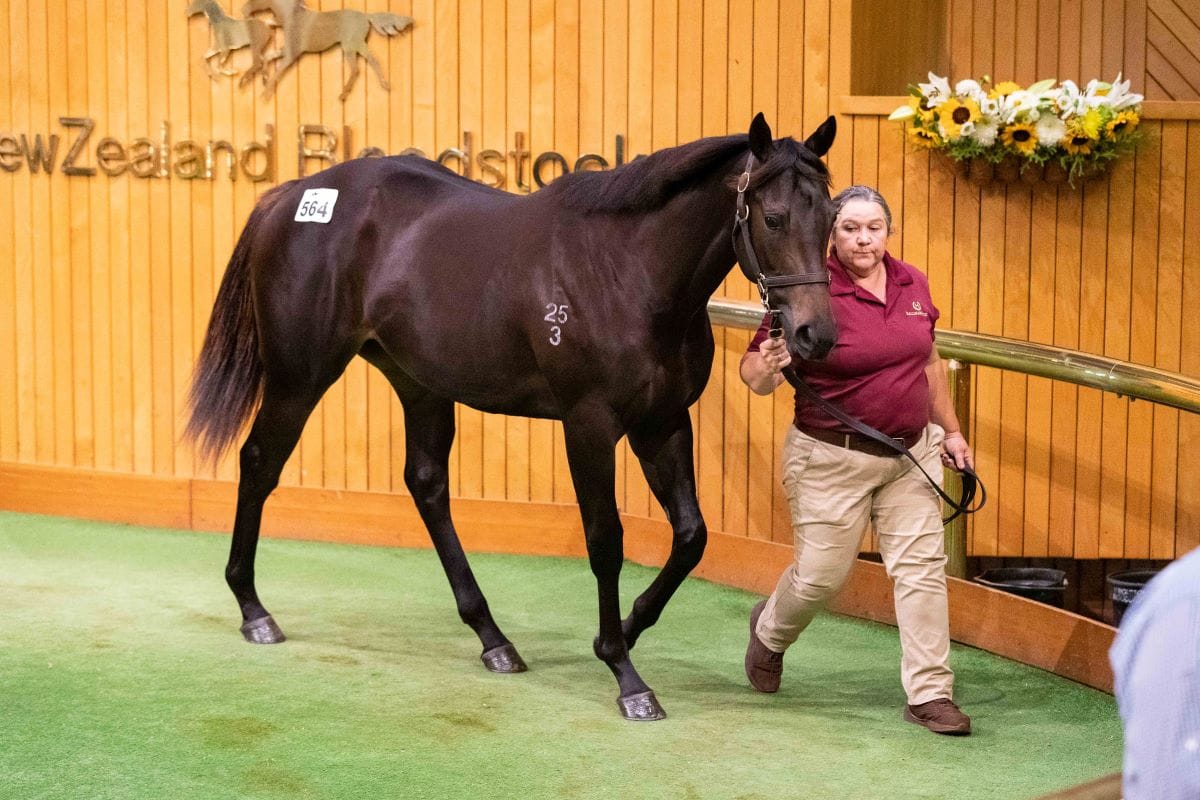 Million-dollar double for Donna Marie