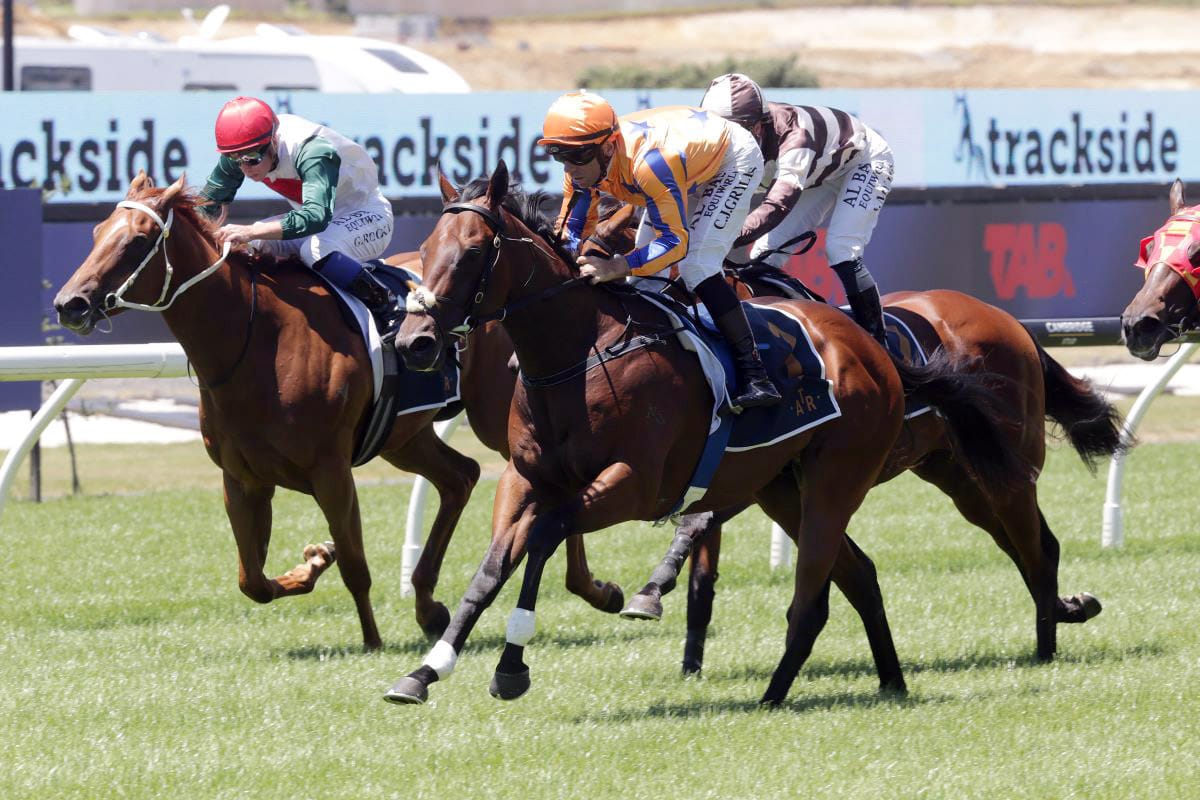 Brave colt flying Nearco flag for Millions