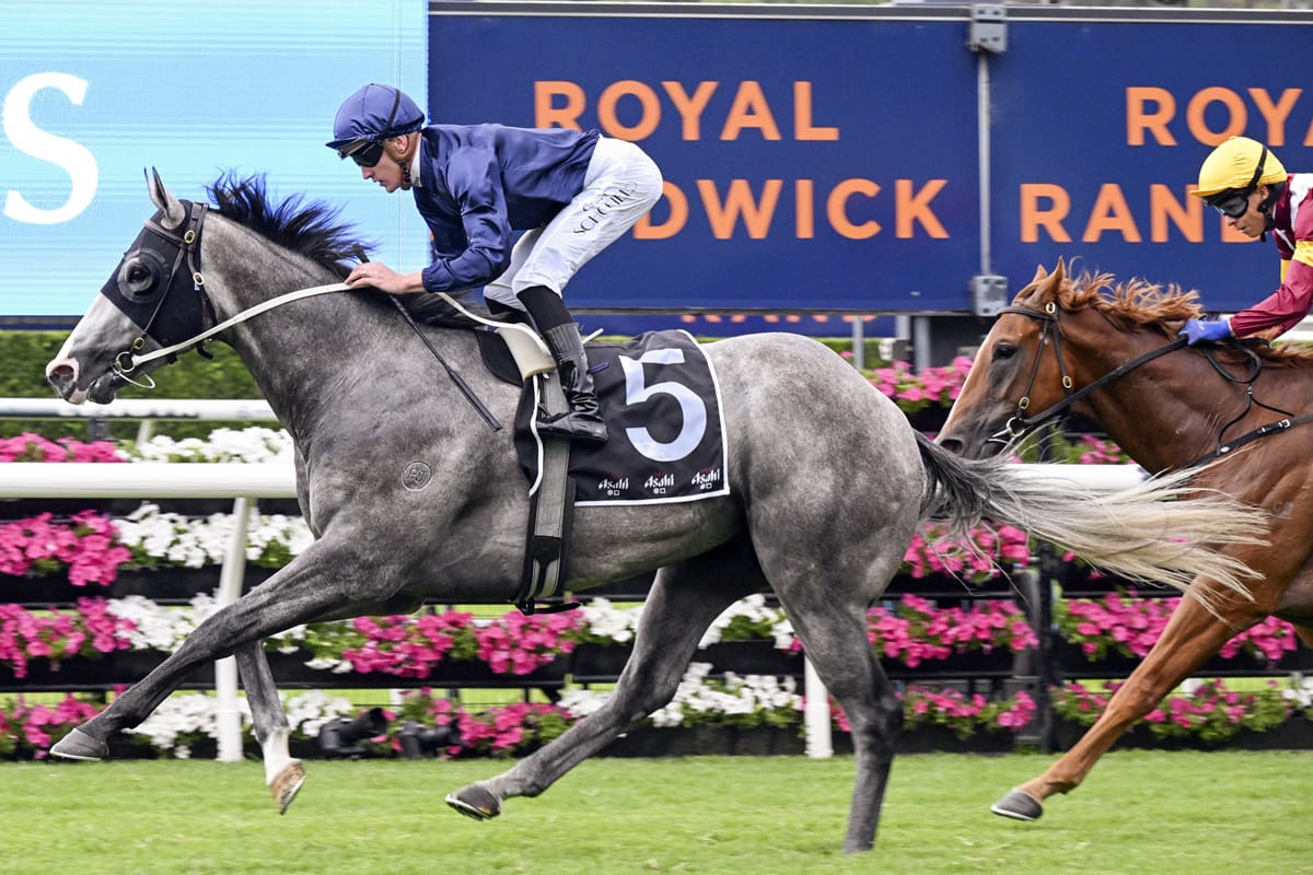 AUDIO: Mick Price on Racing Pulse