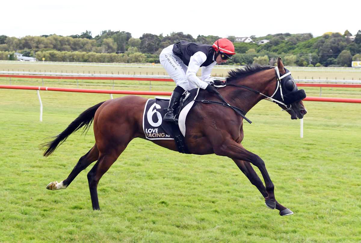 Allen Set to Ride at Ellerslie
