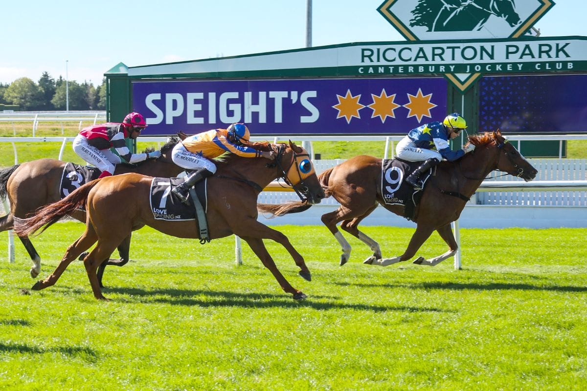 Riverton visitor stars in Hororata Gold Cup