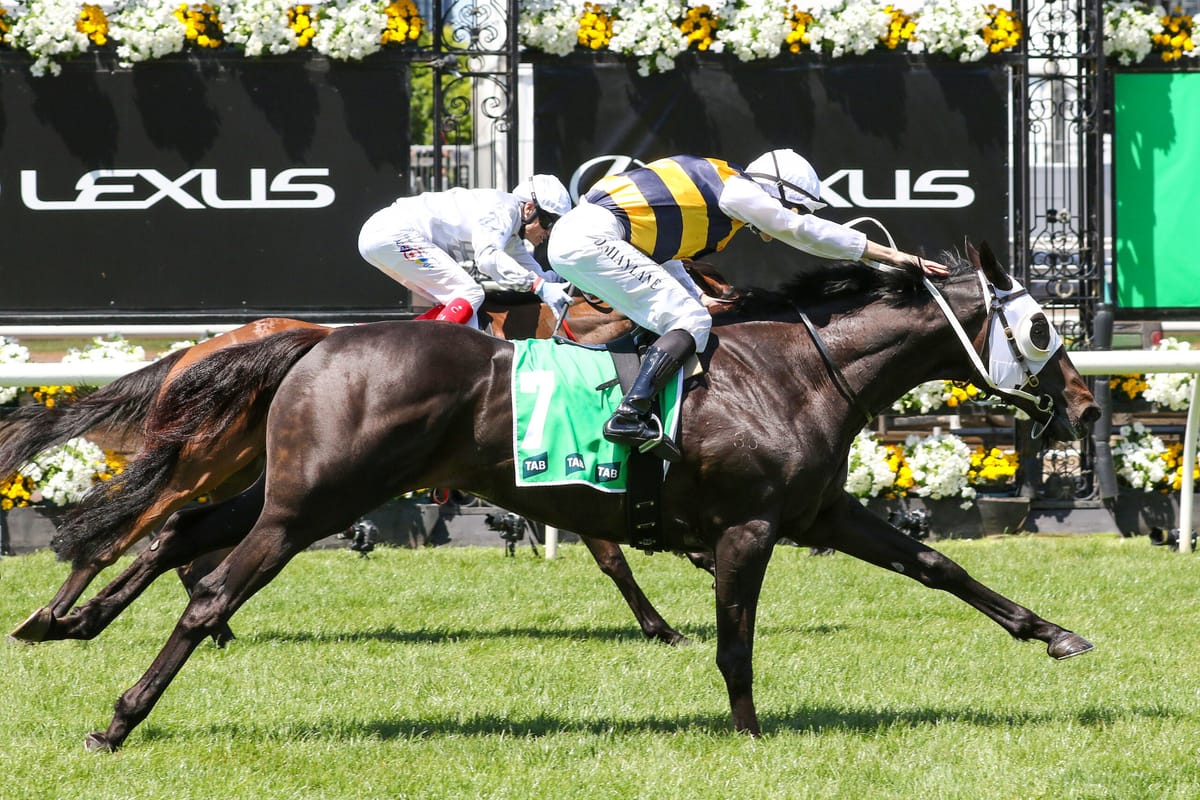 Warmonger ready for talent-laden Tancred