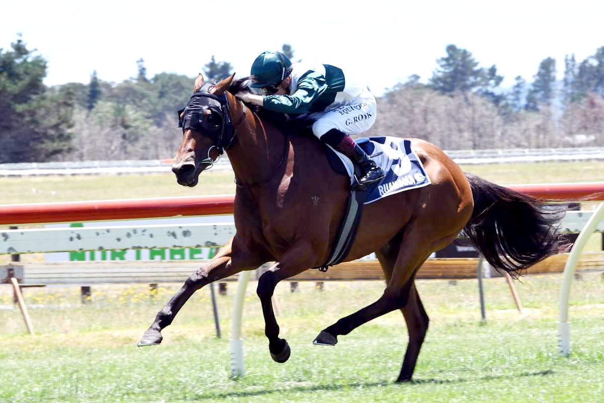 Ritchie Targets Southern Prize for Consistent Filly