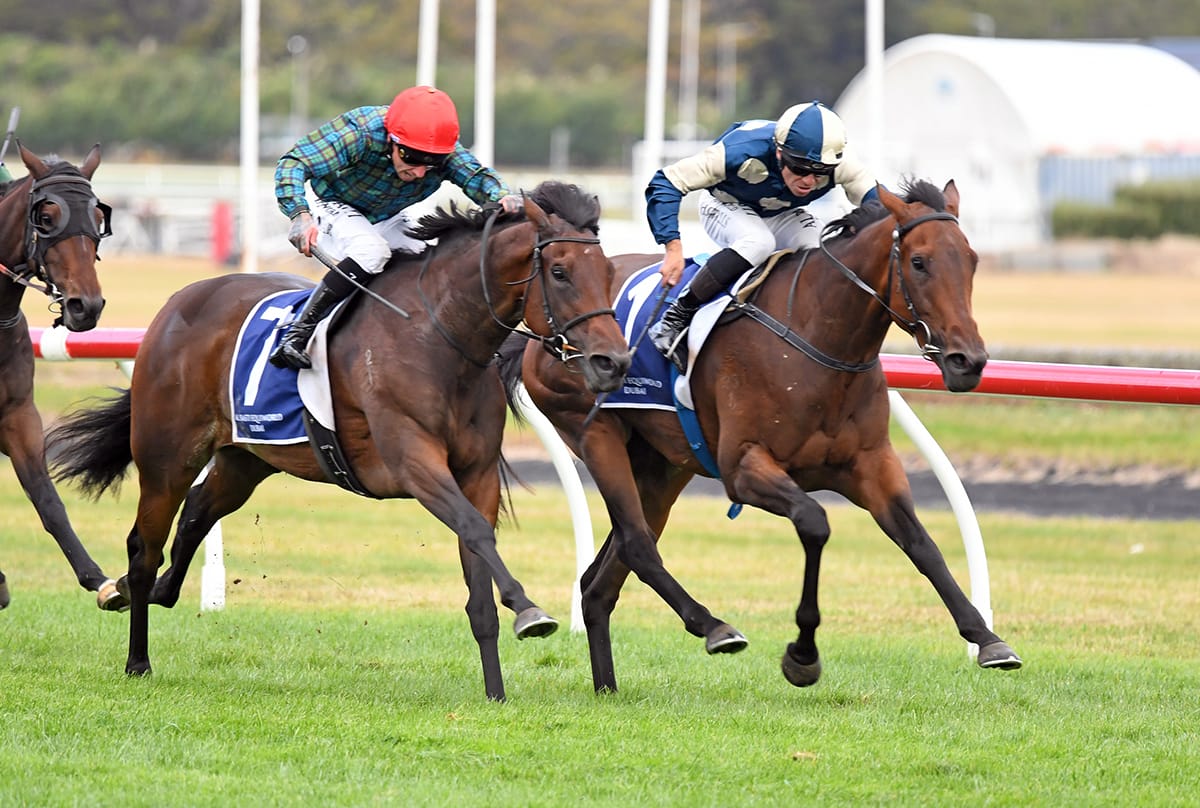 Leica Lucy prepares for Clash of the Queens