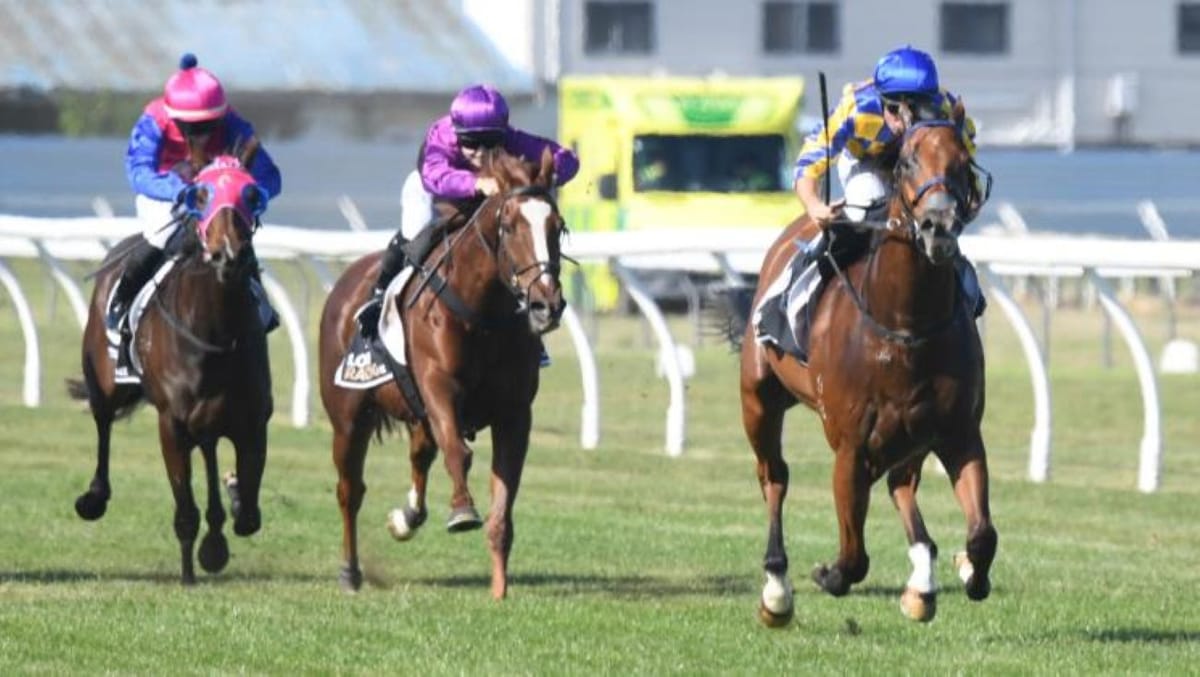 Grays get the Gold with ex-Singapore galloper