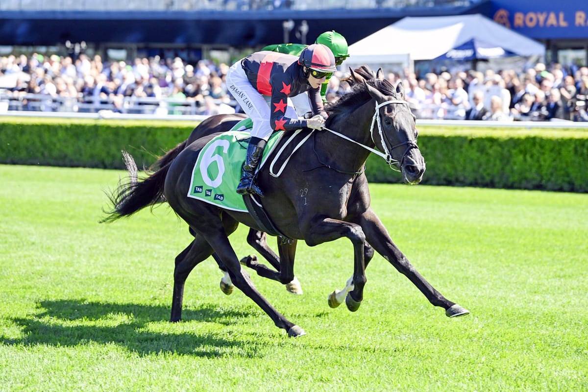 AUDIO: Nick Bishara on Racing HQ
