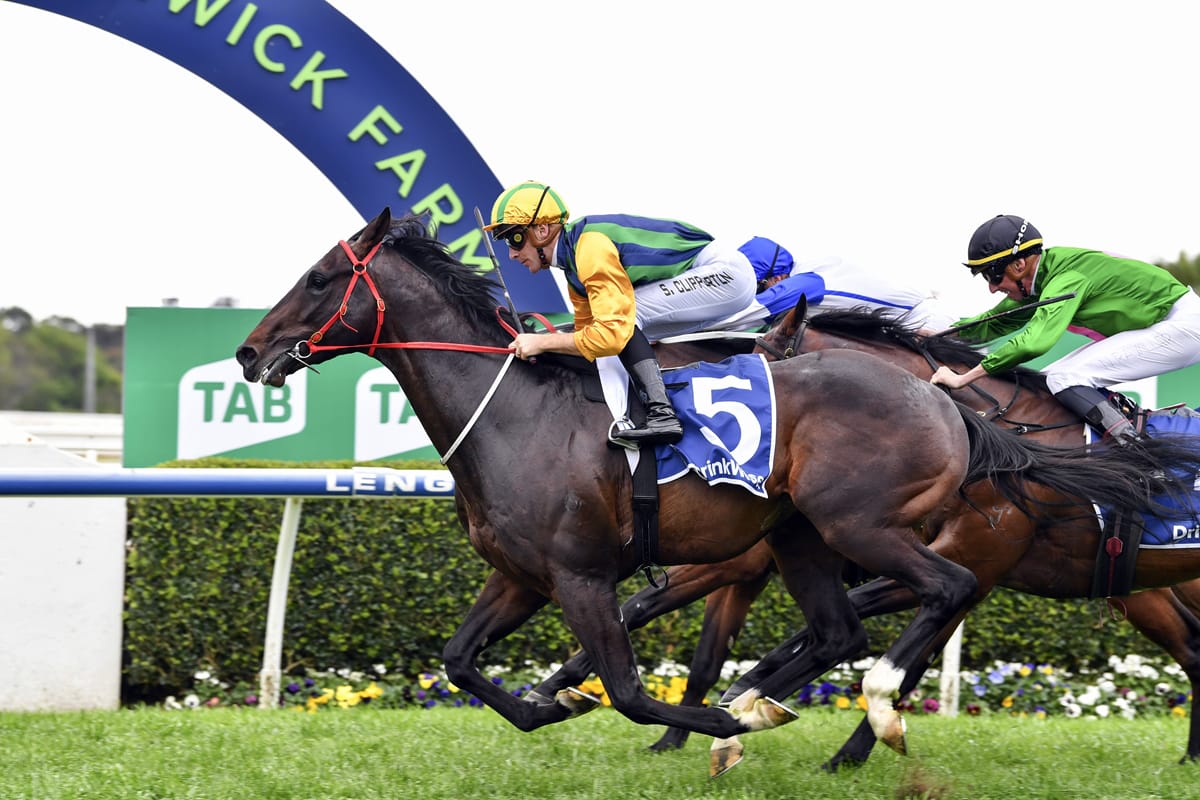 Pride yet to lock in spring plan for Ceolwulf