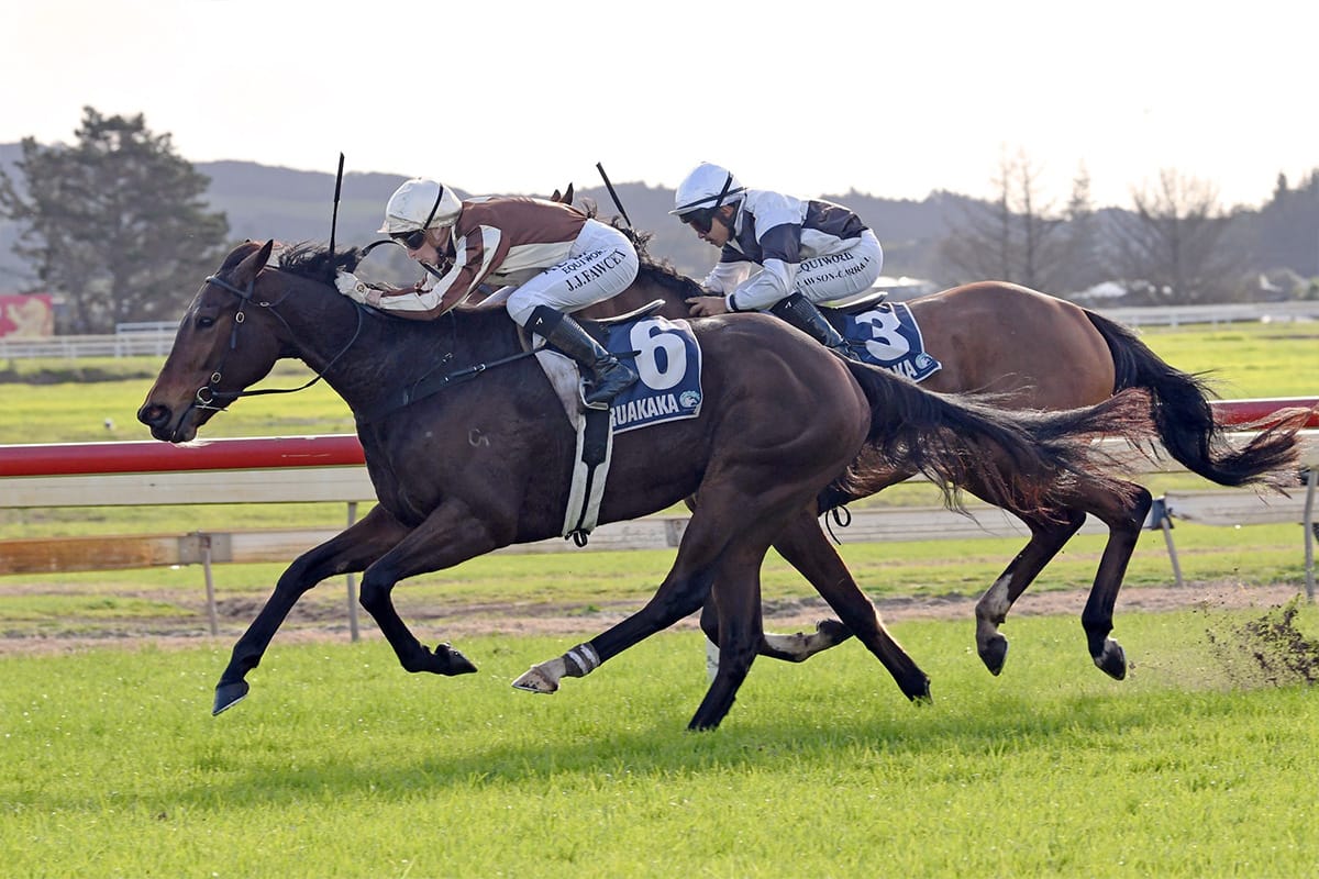 Northern mission pays off with Levakia
