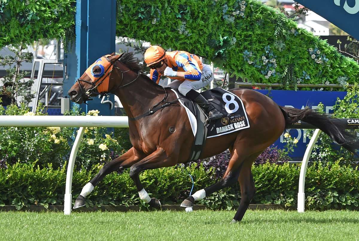 Walker welcomes exciting reinforcements to Cranbourne