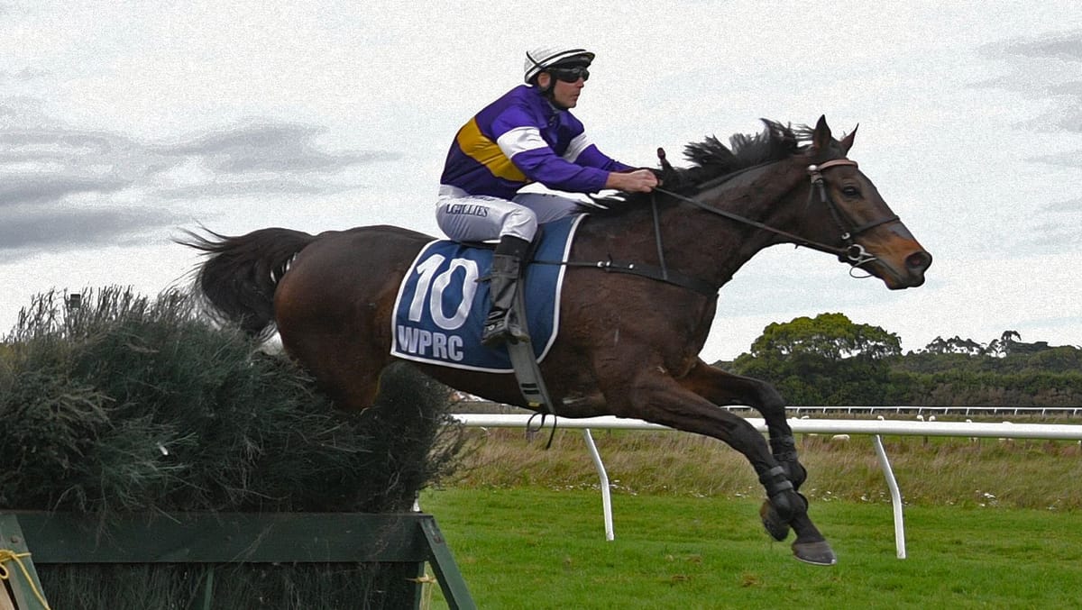 Sweet redemption for Smug in Hawke’s Bay Steeplechase
