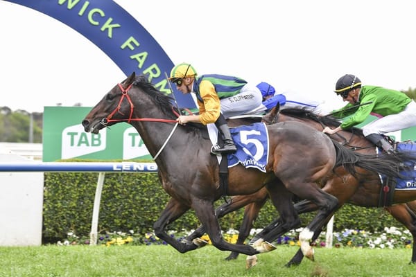 Wet no worry for Ceolwulf return