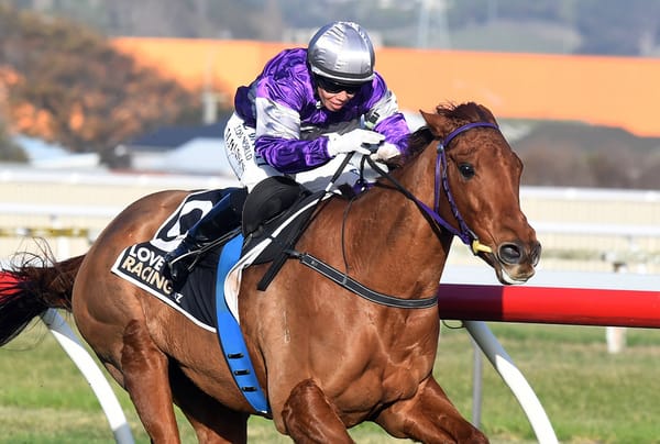 Northern mission on the cards for Rangiora mare