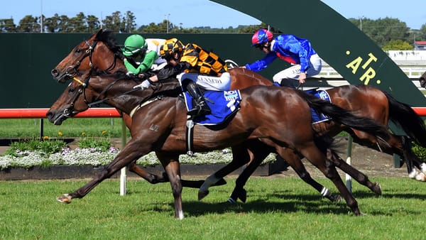 Noble on Group One path with Habana