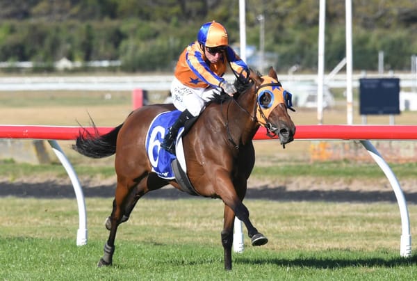 La Dorada to contest Moir Stakes