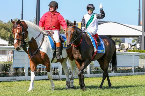 Winx or Memsie for Brightside?