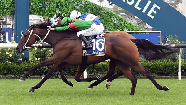 Trav commences Melbourne Cup preparation