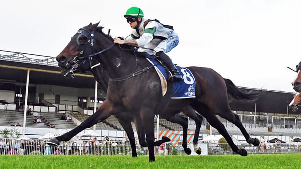 Val Di Zoldo chasing elite-level honours this spring