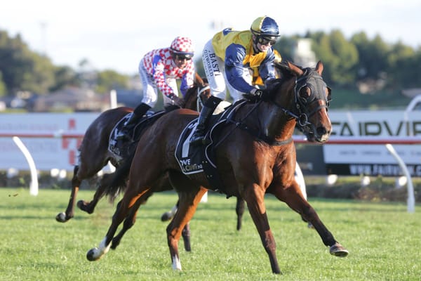 Matamata Cup first-up for Blue Sky At Night
