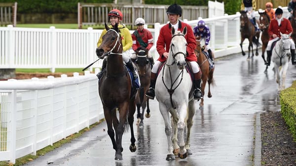 Have A Crack makes it two on end with Ellerslie win