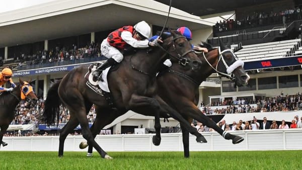 La Crique breaks record with seventh Group One second