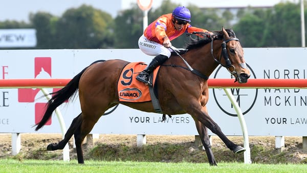 Spencer impressive in Trentham warm-up