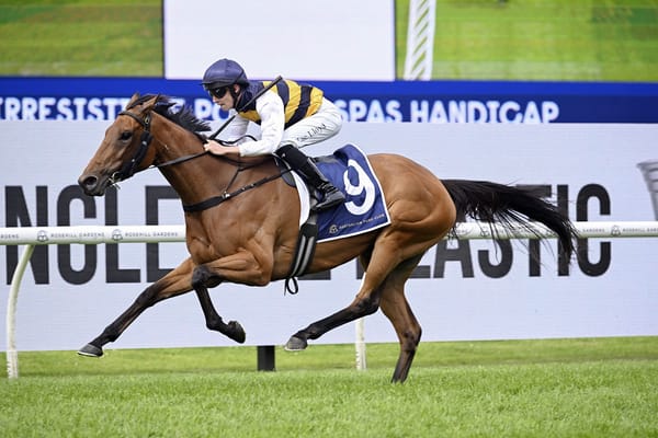 Stakes target for smart stayer She’s Unusual