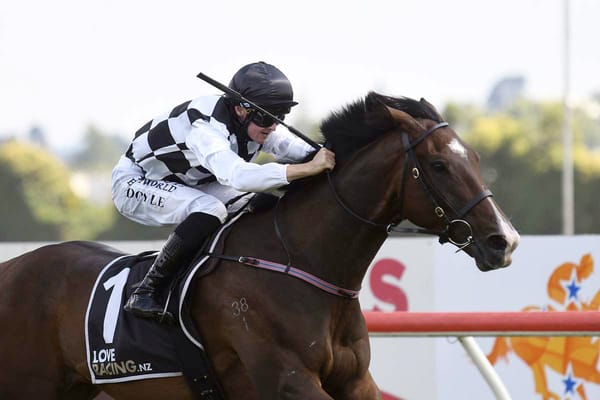 Tuxedo all dressed up for Group One