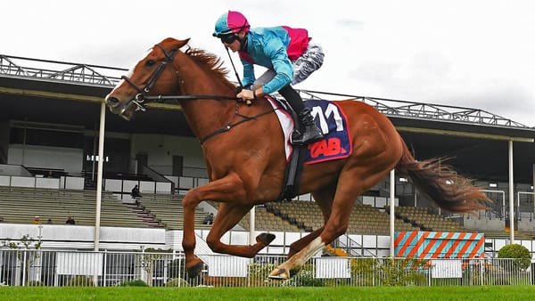 Whiskey ‘N Roses makes winning return