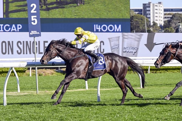 With Your Blessing all the way for Bill Ritchie breakthrough