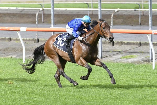 Afterglo powerful late in Matamata victory