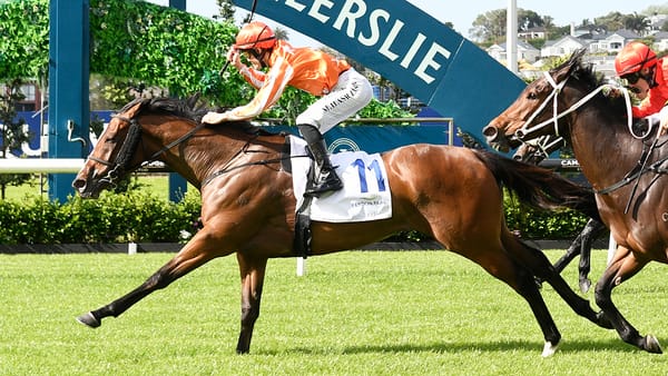 Arabian Songbird upstages Tardelli in Cambridge showdown