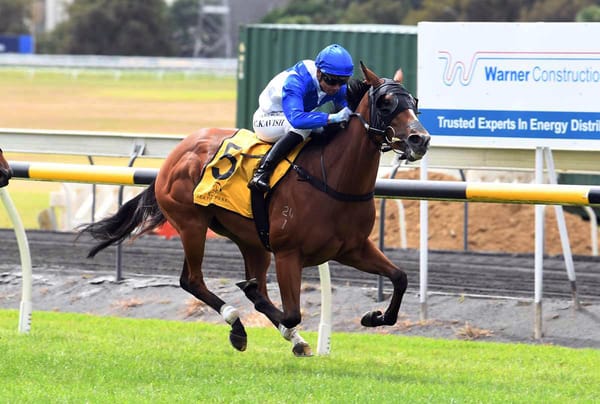 Sharp mare chasing open stakes honours