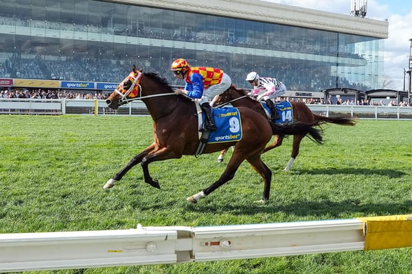 Kiwis driving forces behind star Group One winner