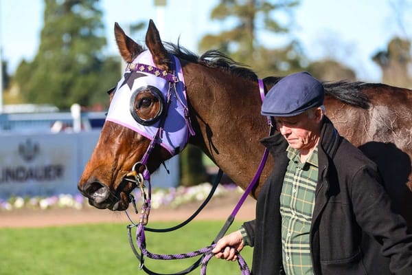 Barneswood filly to make debut