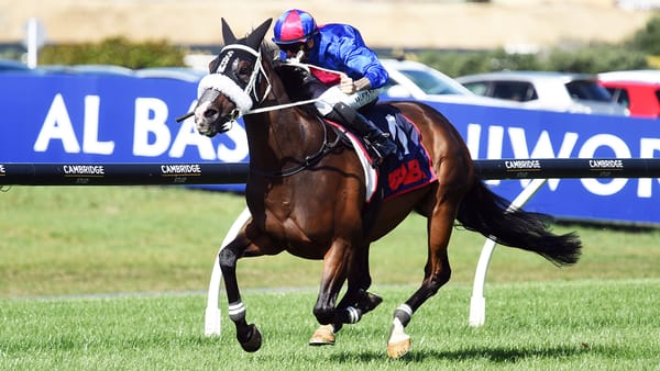 Rare Ellerslie achievement within El Vencedor’s reach