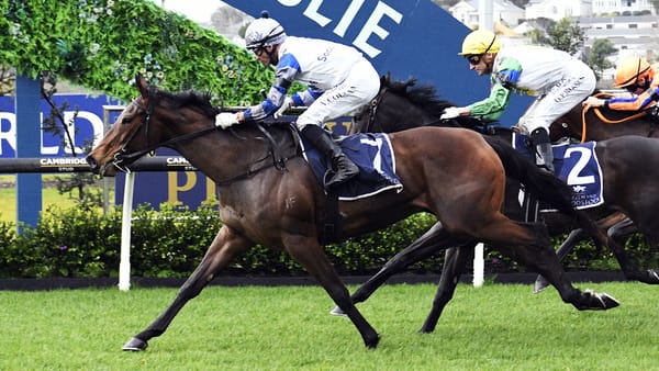 Lollapalooza out to turn the tables on Tajana