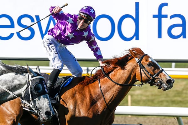 The return of the Cups King