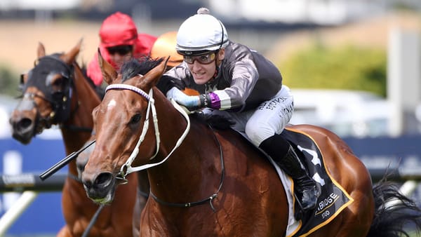 Classy Cambridge gallopers star at Ellerslie