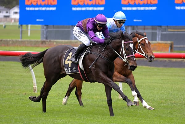 Midnight Dart delivers on debut