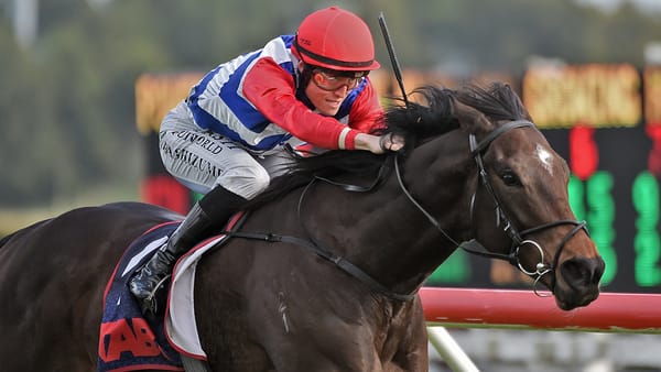 Wallbank’s horse of a lifetime up for Sweynesse challenge